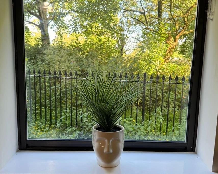 Polly'S Place Apartment Taunton & Free Off Road Parking & Wifi Bagian luar foto